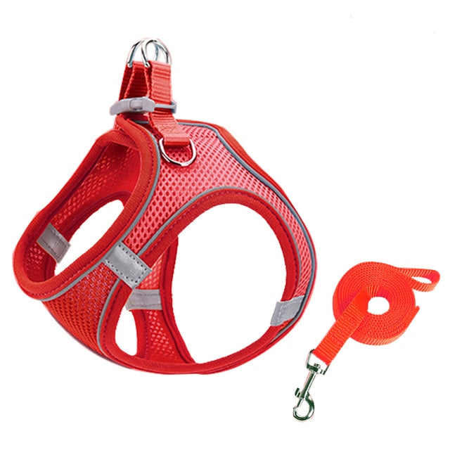 Escape Proof Small Pet Harness and Leash Set