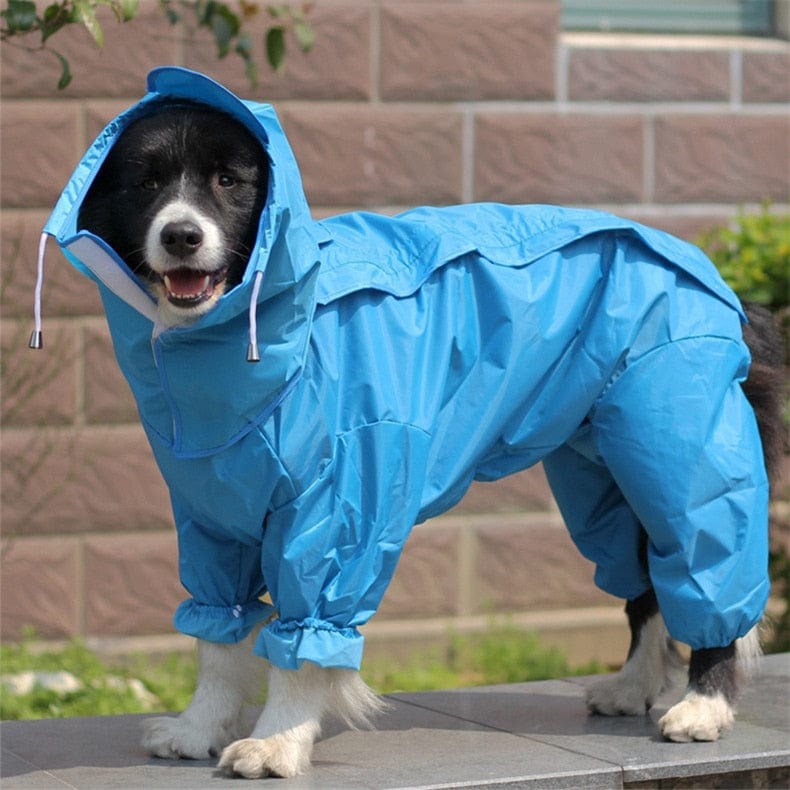 Dog Raincoat