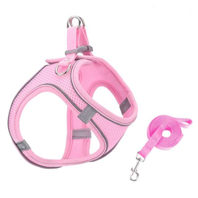 Escape Proof Small Pet Harness and Leash Set