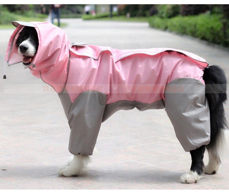 Dog Raincoat