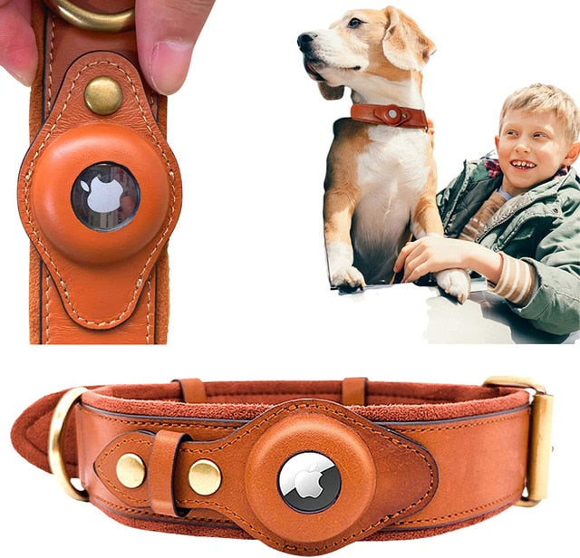 Heavy Duty Leather Dog Collar with AirTag Holder