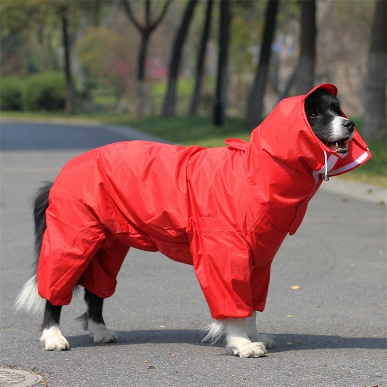 Dog Raincoat