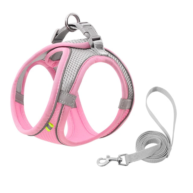 Escape Proof Small Pet Harness and Leash Set