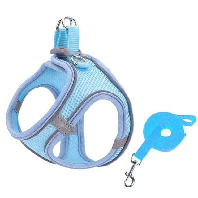 Escape Proof Small Pet Harness and Leash Set