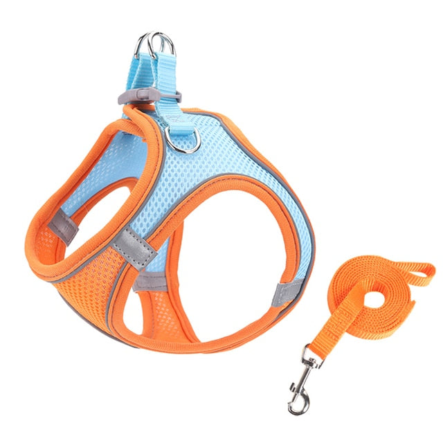 Escape Proof Small Pet Harness and Leash Set