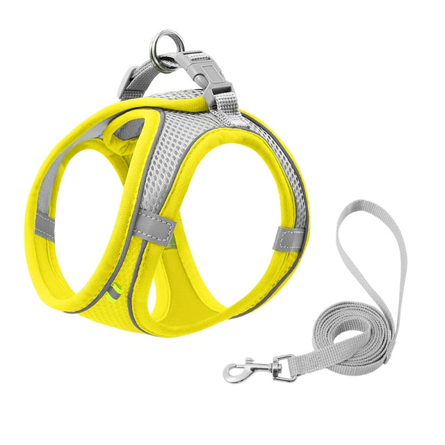 Escape Proof Small Pet Harness and Leash Set