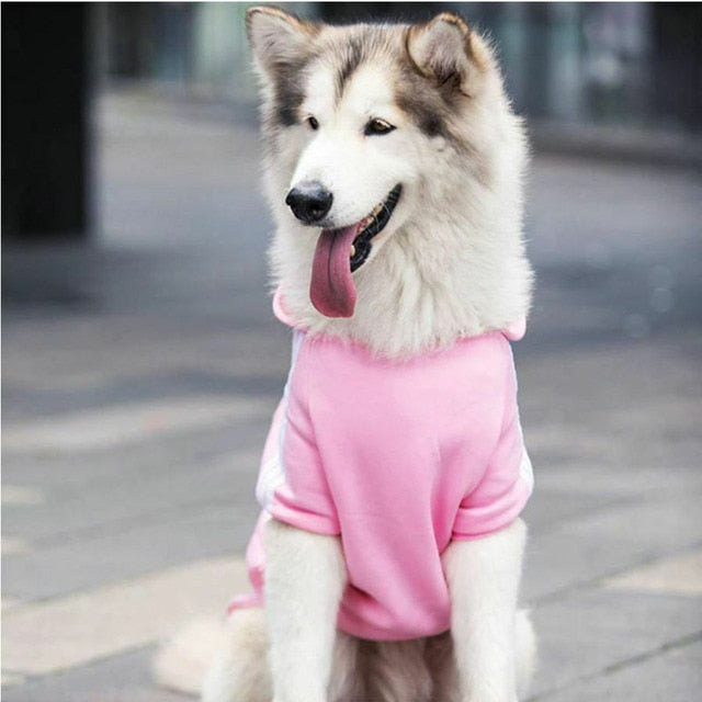 Sport Hoodies for Dogs