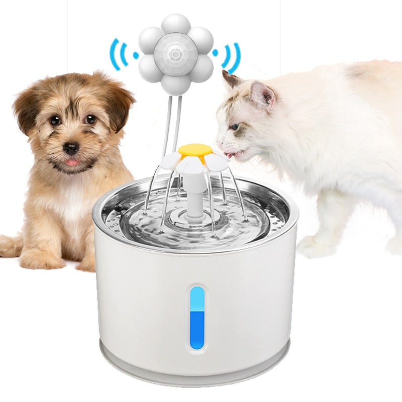 Pet Drinking Fountain