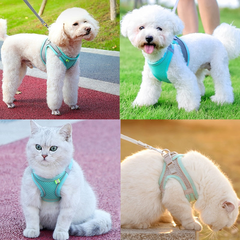 Escape Proof Small Pet Harness and Leash Set