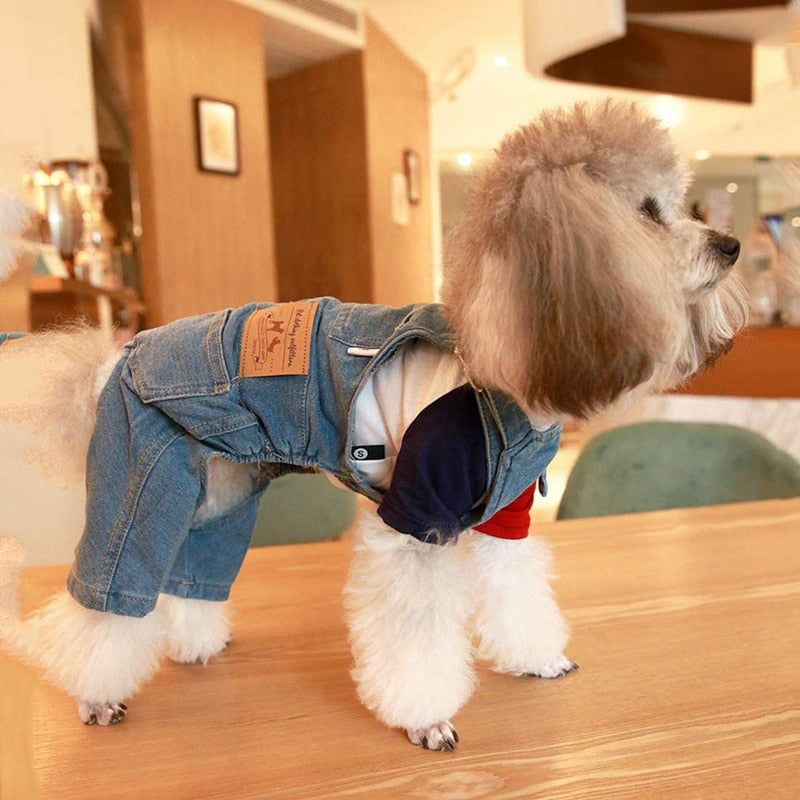 Blue Jean Overalls for Dogs