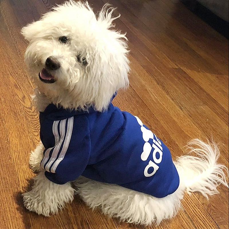 Sport Hoodies for Dogs