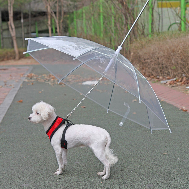 Pet Umbrella and Leash