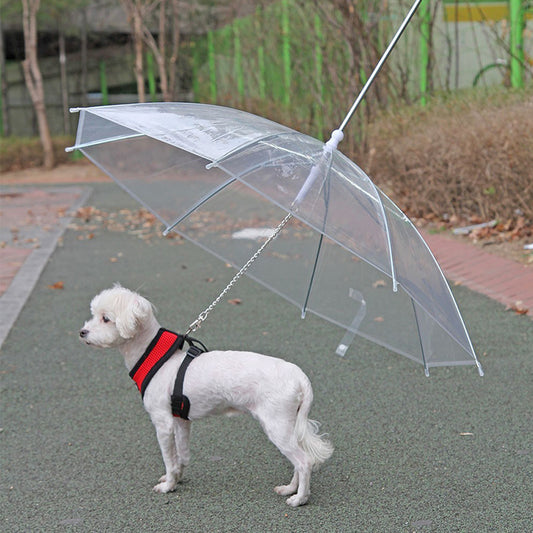 Pet Umbrella and Leash