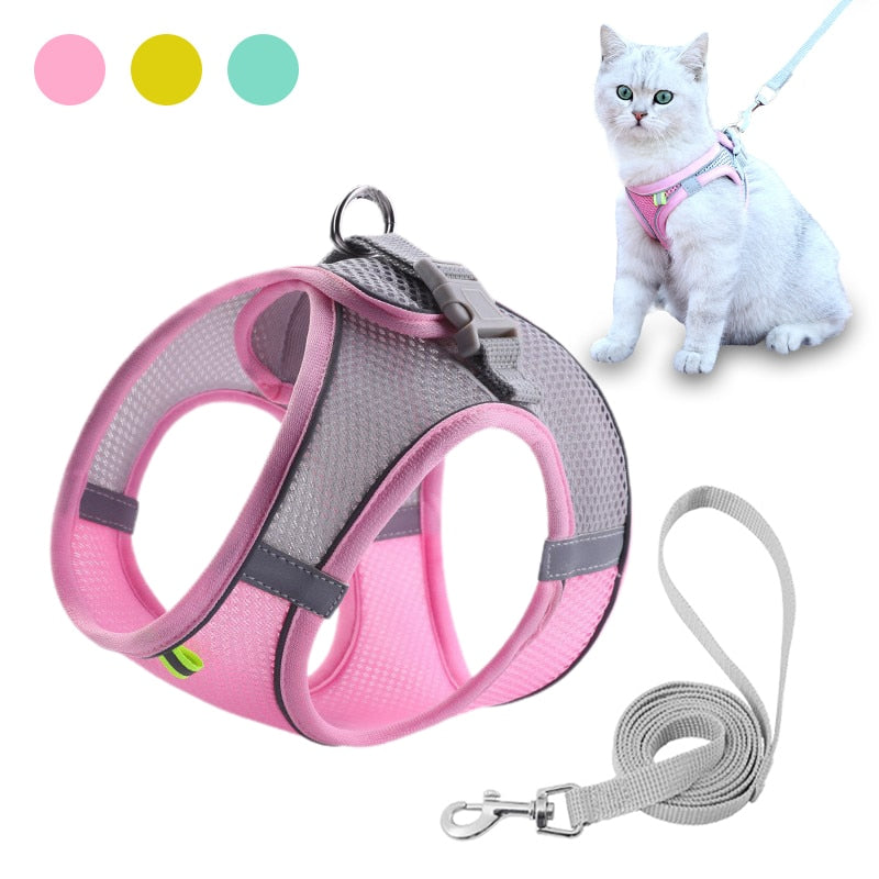 Escape Proof Small Pet Harness and Leash Set