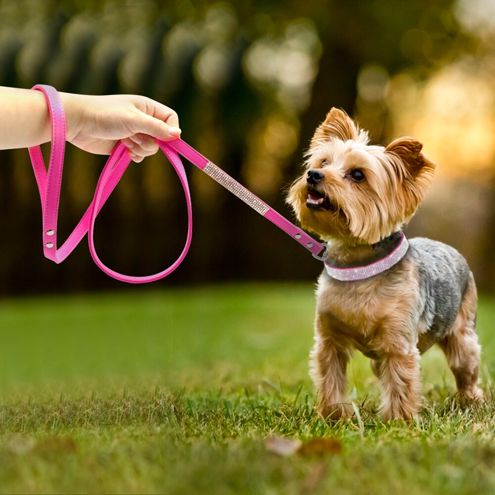 Rhinestone Pet Collar and Leash Set