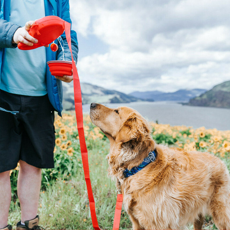 Multifunctional Pet Leash and Bowl