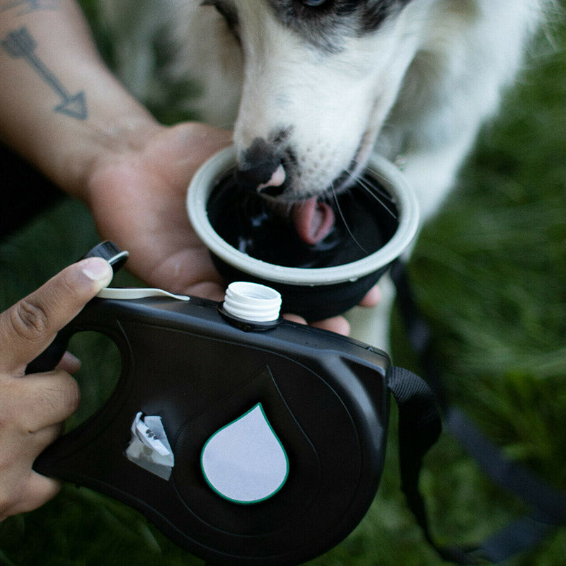 Multifunctional Pet Leash and Bowl