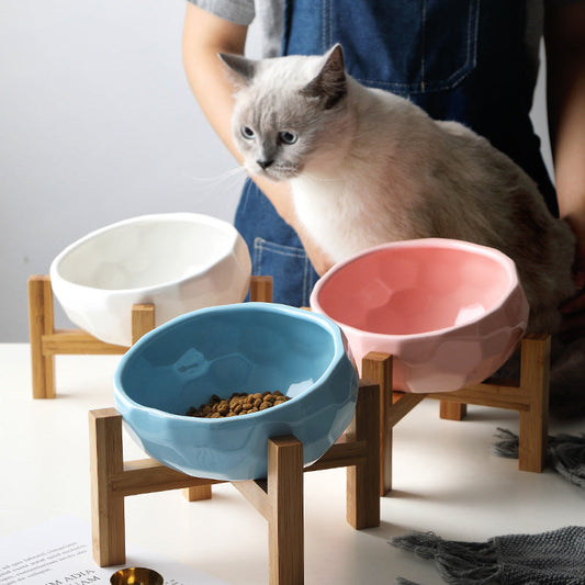 Purr-fect Cat Bowl and Bamboo Stand