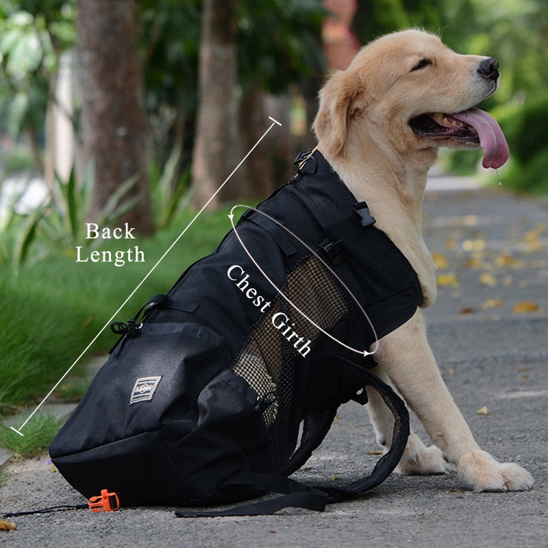 Pet Outdoor Backpack