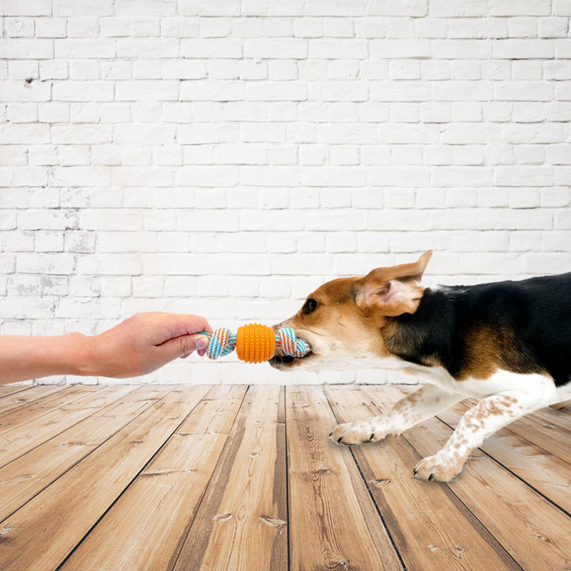 Ball and Rope Toy for Pets