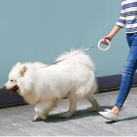 Retractable Hands-free LED Pet Leash