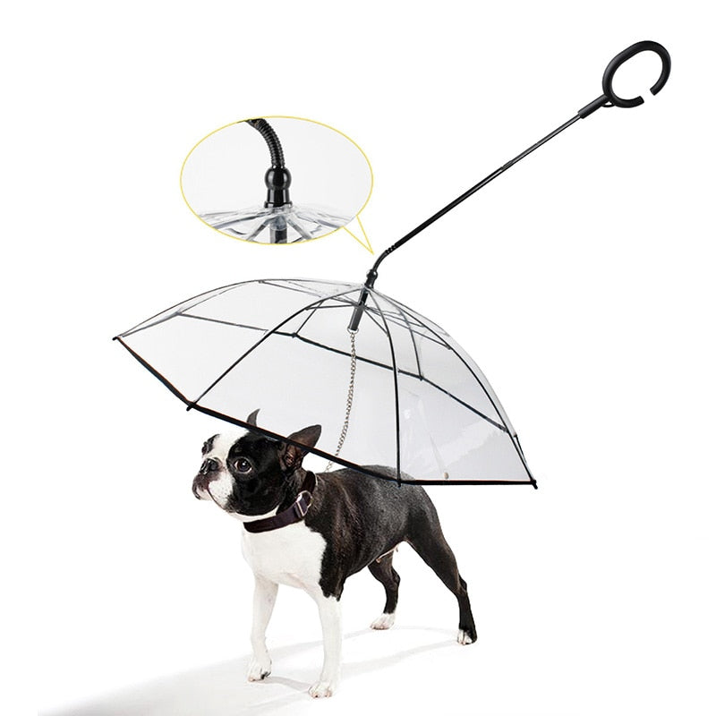 Transparent Pet Umbrella with Leash