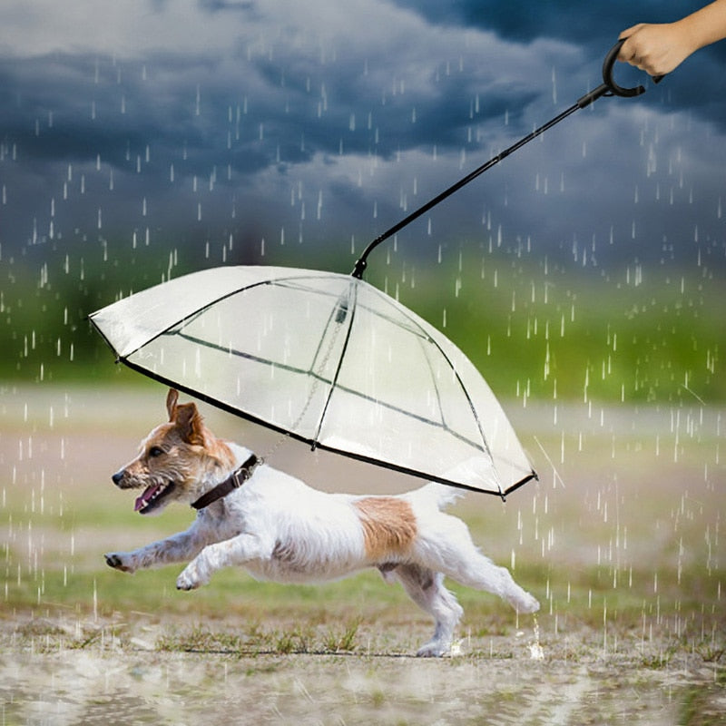 Transparent Pet Umbrella with Leash