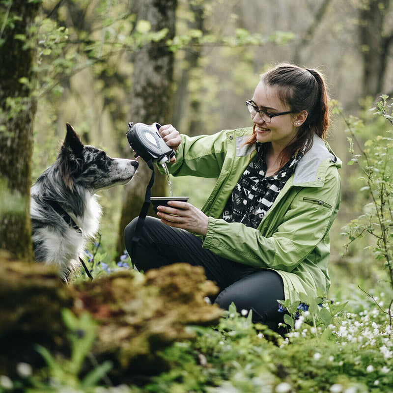 Multifunctional Pet Leash and Bowl