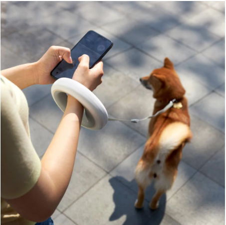 Retractable Hands-free LED Pet Leash