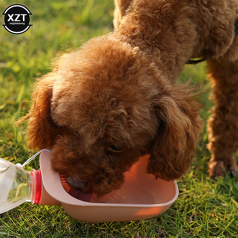 Pet Water Bowl for Travel or Outdoors