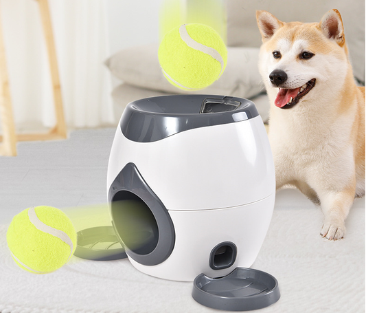 Smart Pet Feeder and Ball Toss